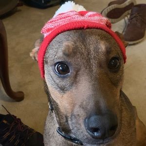 Meet your Posher, Mia